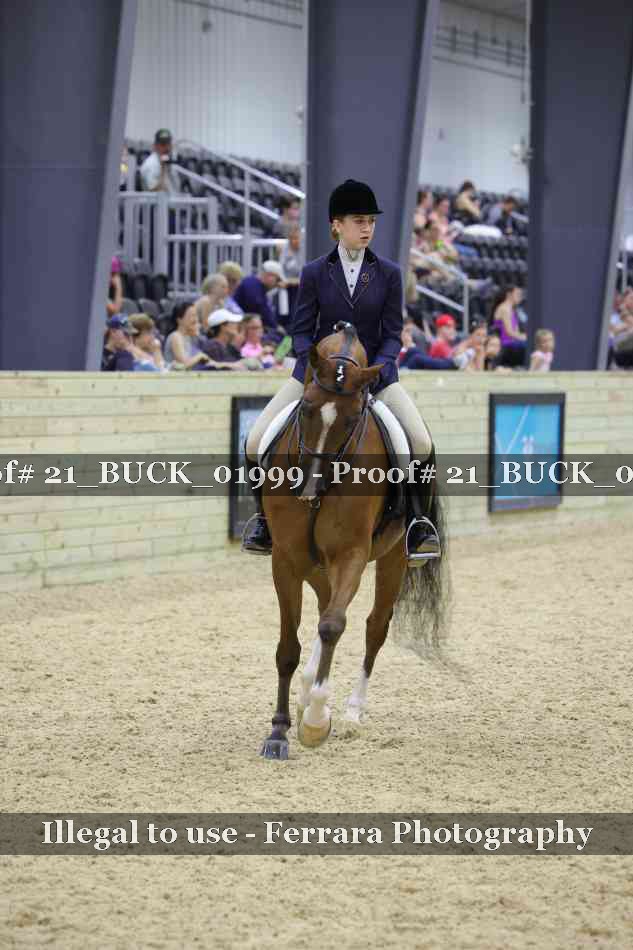 Proof 21_BUCK_01999