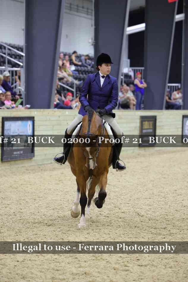 Proof 21_BUCK_02000