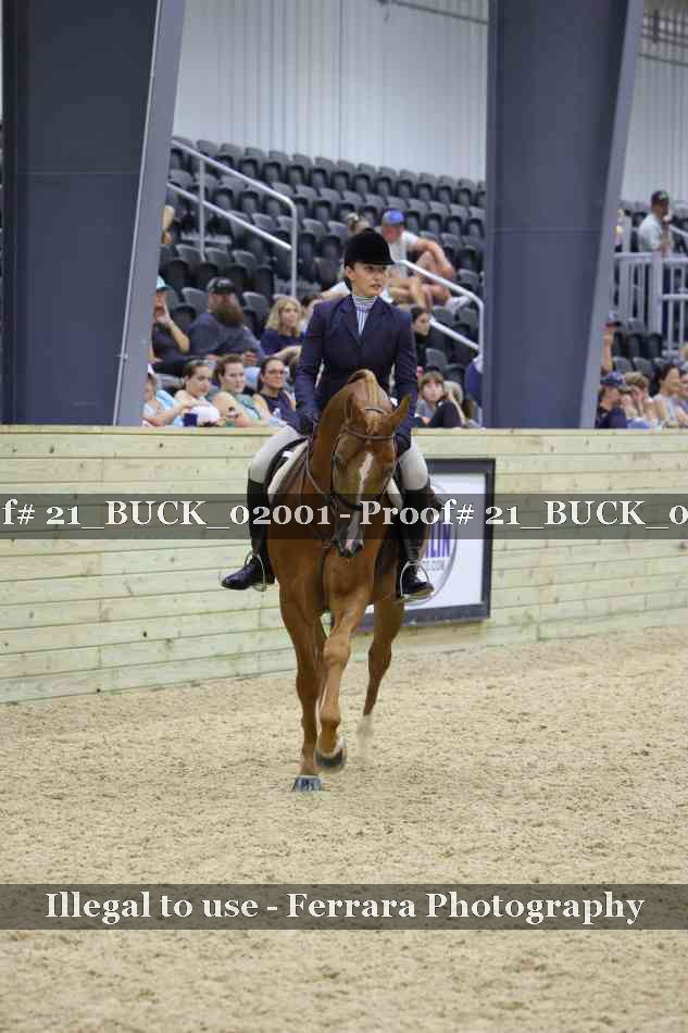 Proof 21_BUCK_02001