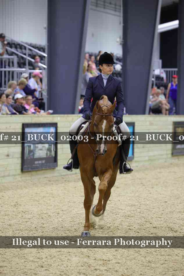 Proof 21_BUCK_02003