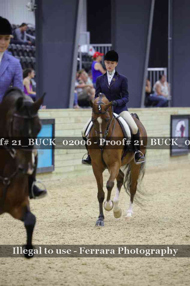 Proof 21_BUCK_02006
