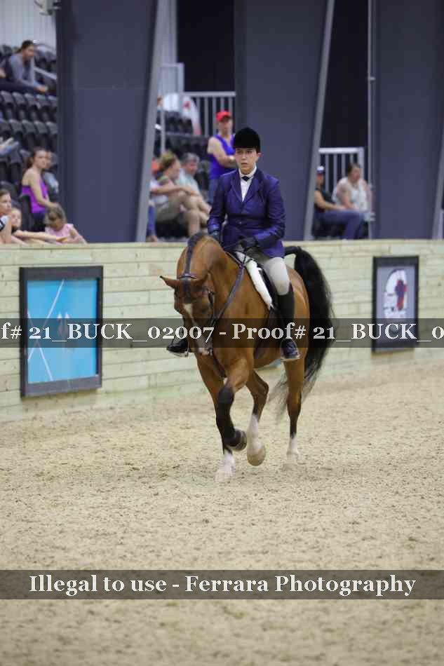 Proof 21_BUCK_02007