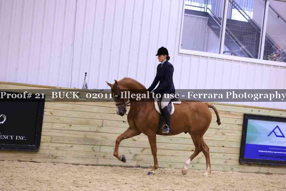 Proof 21_BUCK_02011