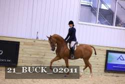 21_BUCK_02011 proof