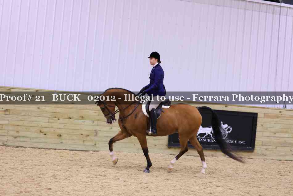Proof 21_BUCK_02012