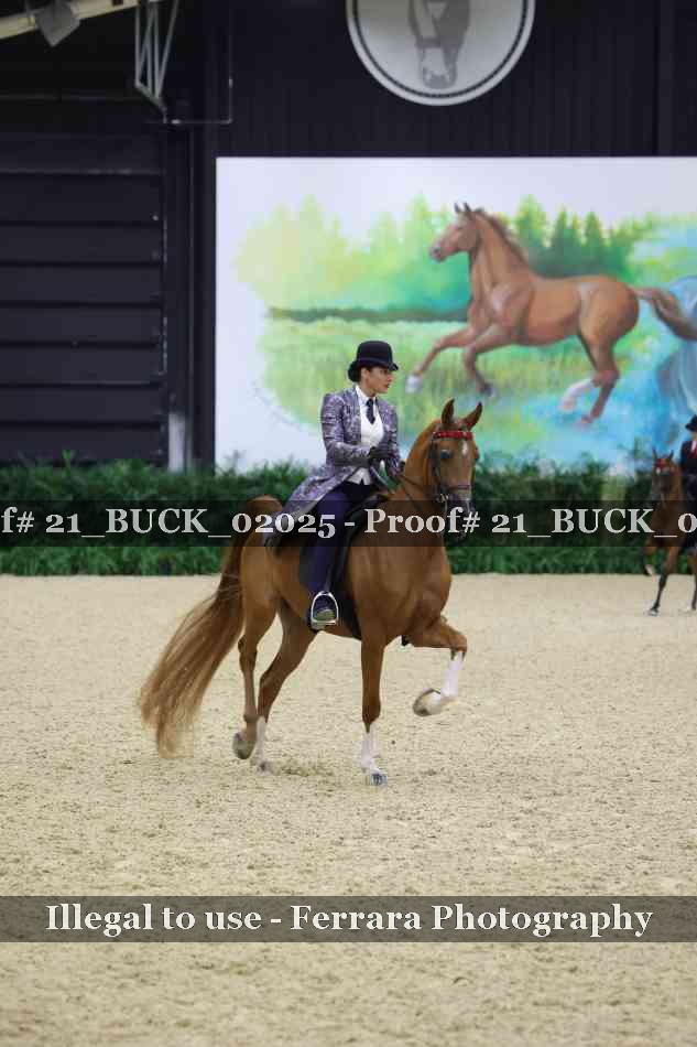 Proof 21_BUCK_02025