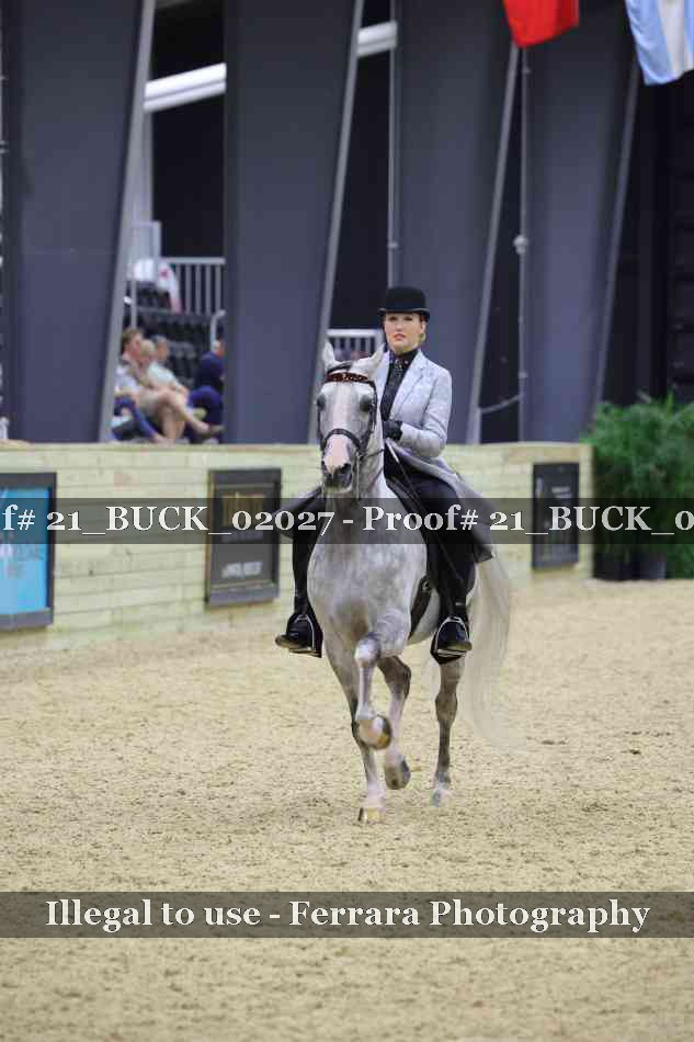 Proof 21_BUCK_02027