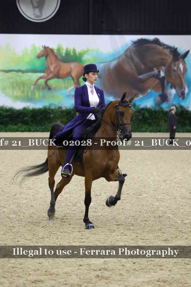 Proof 21_BUCK_02028