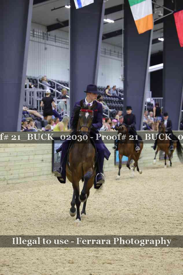 Proof 21_BUCK_02030