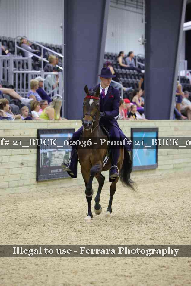 Proof 21_BUCK_02036