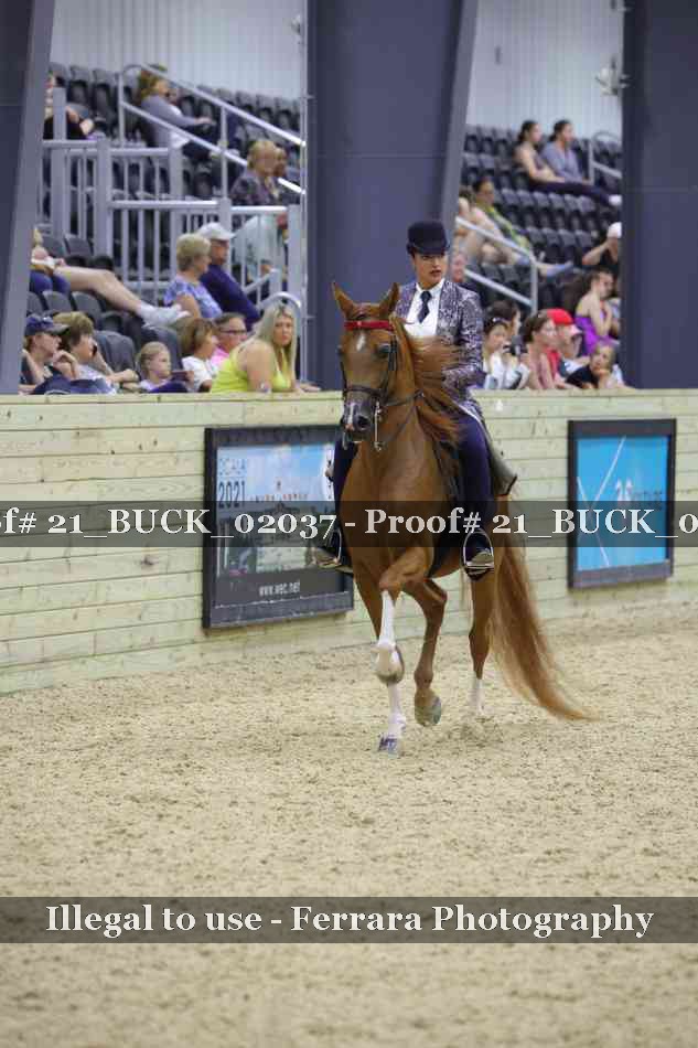 Proof 21_BUCK_02037