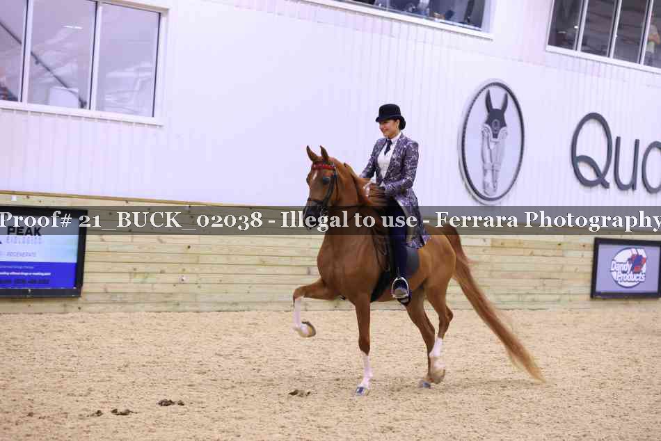 Proof 21_BUCK_02038
