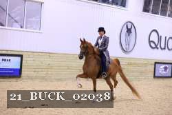 21_BUCK_02038 proof