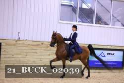 21_BUCK_02039 proof