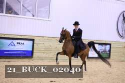 21_BUCK_02040 proof