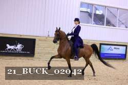 21_BUCK_02042 proof