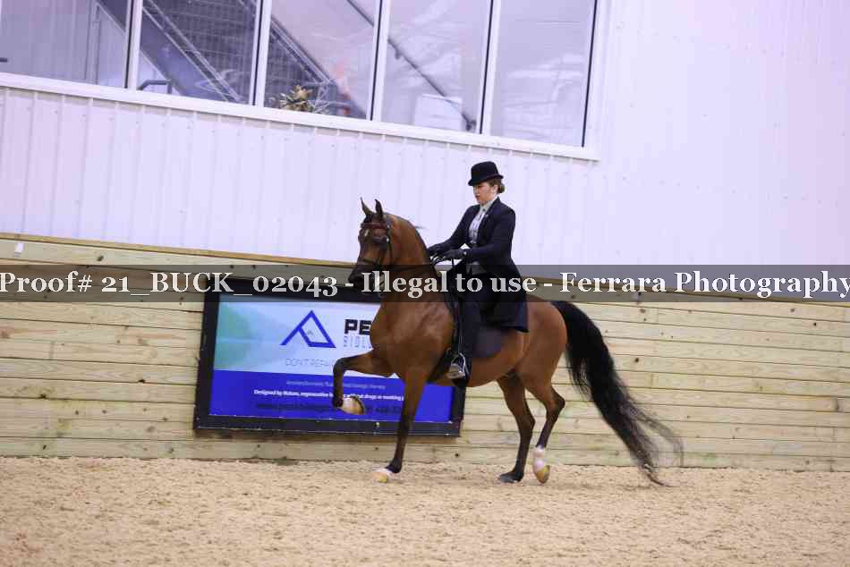 Proof 21_BUCK_02043