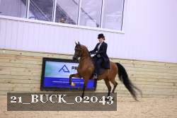 21_BUCK_02043 proof