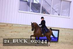21_BUCK_02044 proof