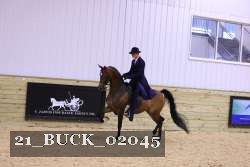 21_BUCK_02045 proof