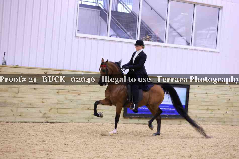 Proof 21_BUCK_02046
