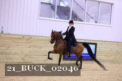 21_BUCK_02046 proof