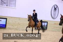 21_BUCK_02047 proof