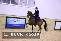 21_BUCK_02048 proof