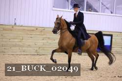 21_BUCK_02049 proof