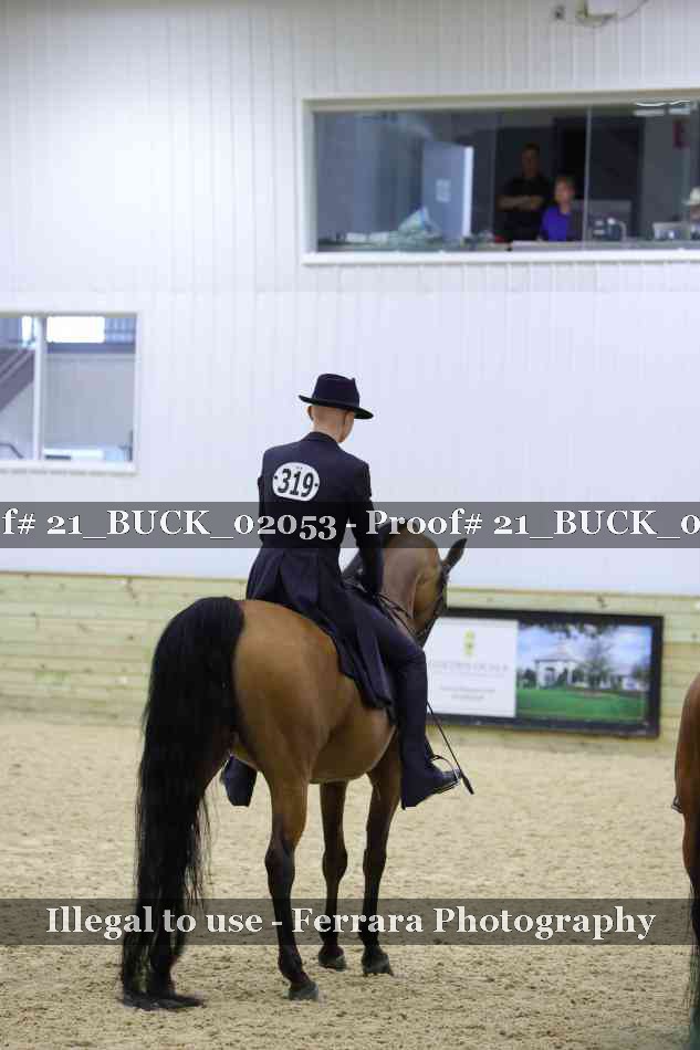 Proof 21_BUCK_02053