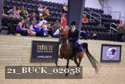 21_BUCK_02058 proof