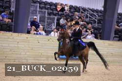 21_BUCK_02059 proof