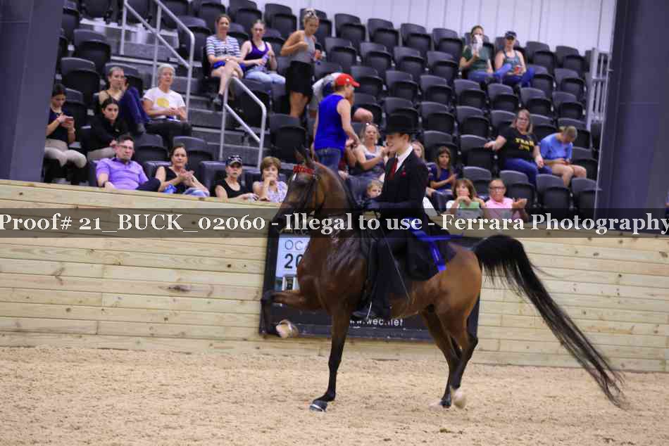 Proof 21_BUCK_02060