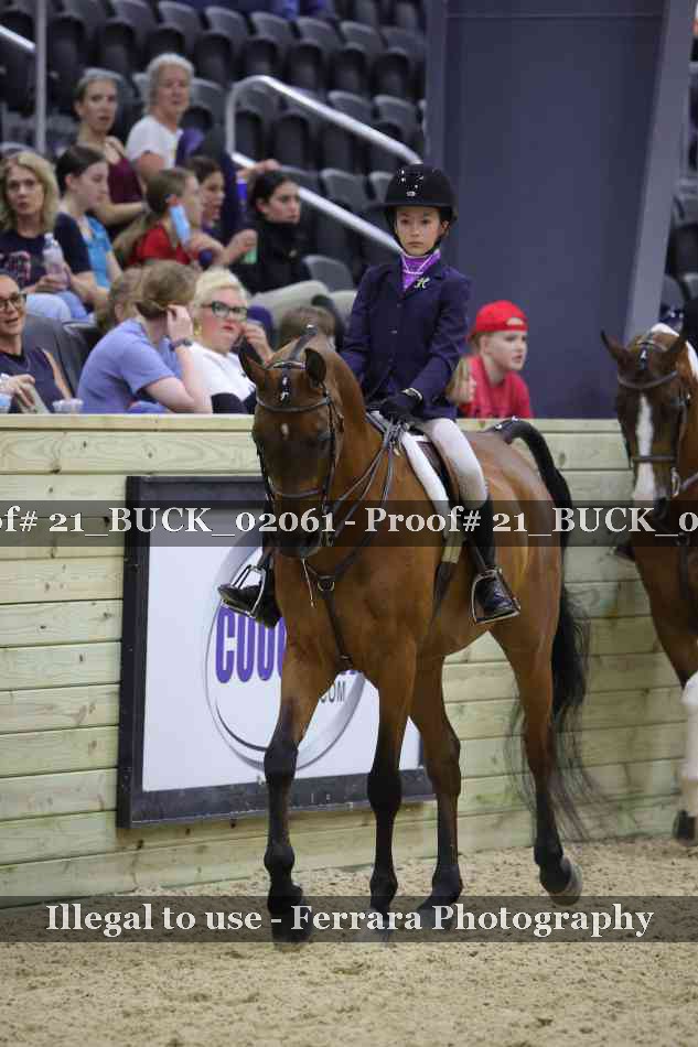 Proof 21_BUCK_02061