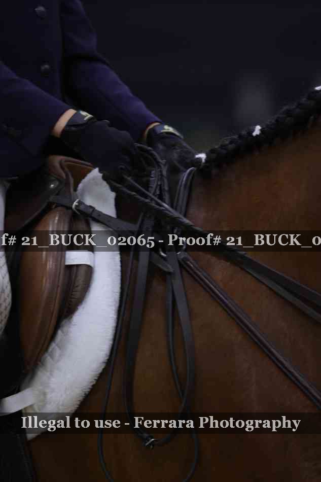 Proof 21_BUCK_02065