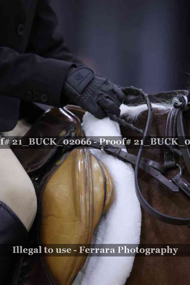 Proof 21_BUCK_02066