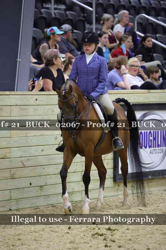 Proof 21_BUCK_02067