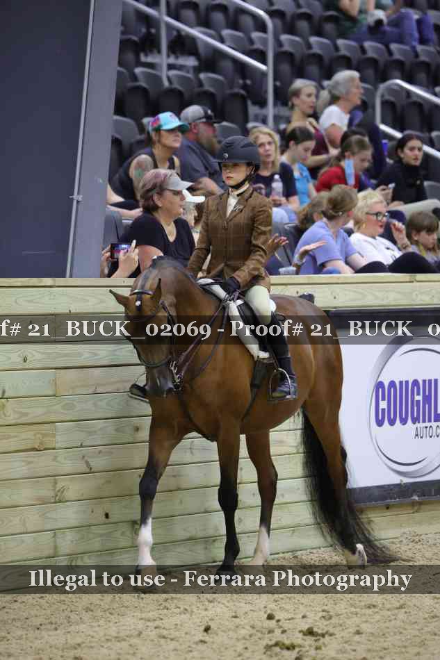 Proof 21_BUCK_02069