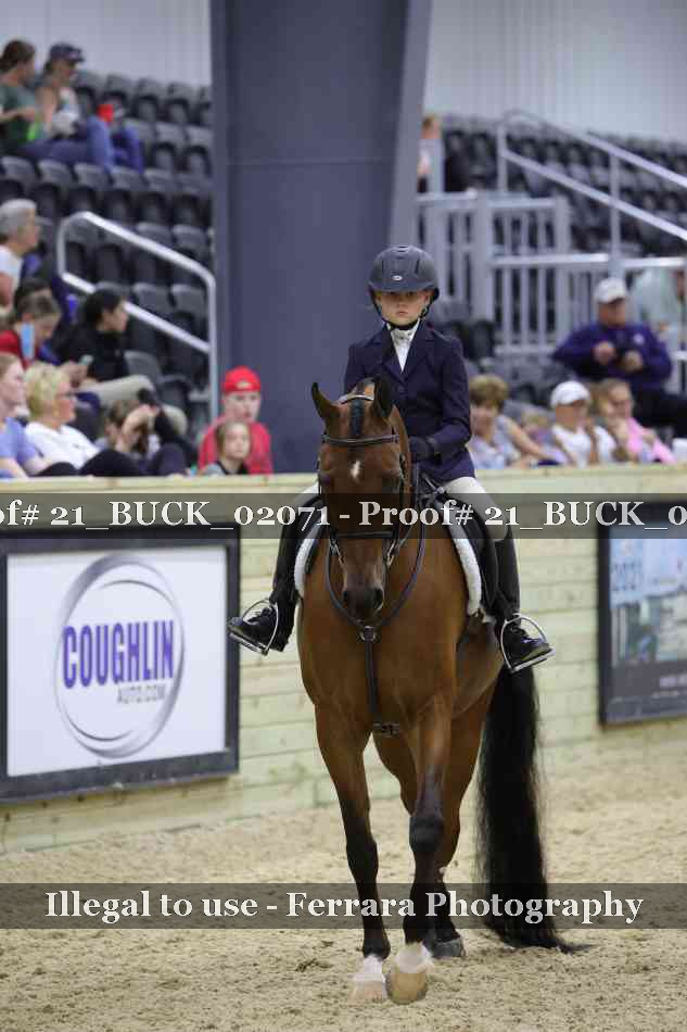 Proof 21_BUCK_02071