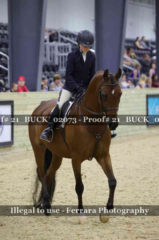 Proof 21_BUCK_02073