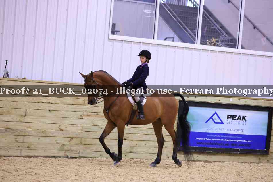 Proof 21_BUCK_02074