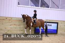 21_BUCK_02075 proof