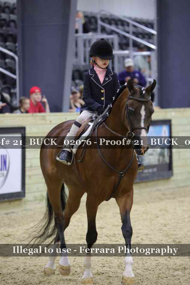 Proof 21_BUCK_02076