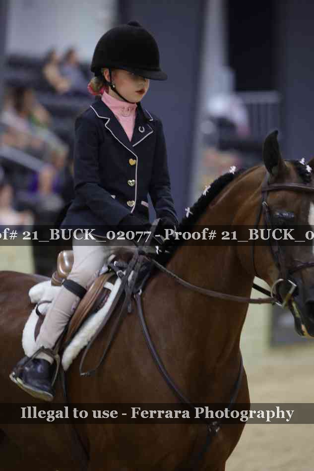 Proof 21_BUCK_02077