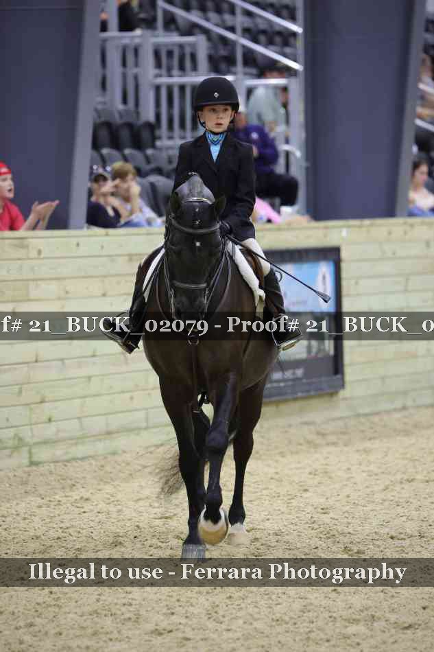 Proof 21_BUCK_02079