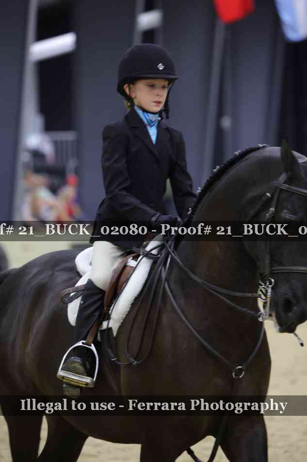 Proof 21_BUCK_02080