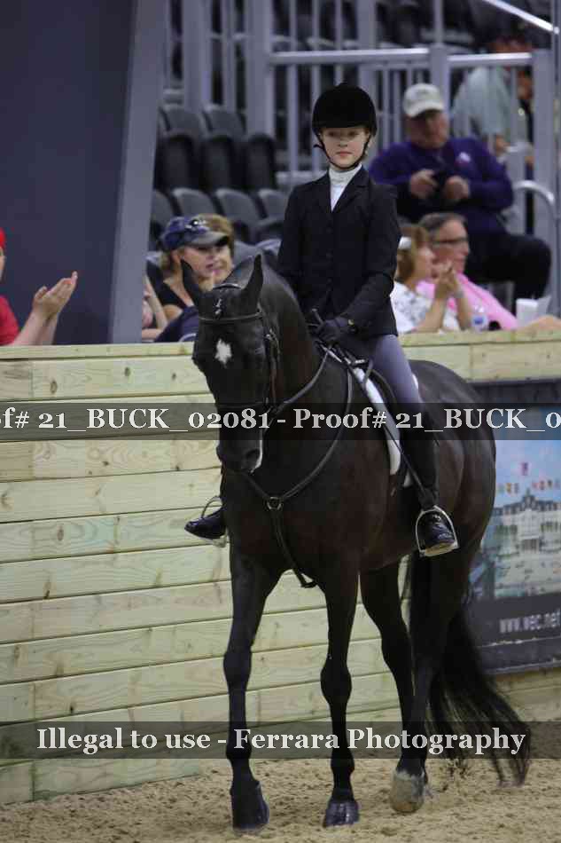 Proof 21_BUCK_02081