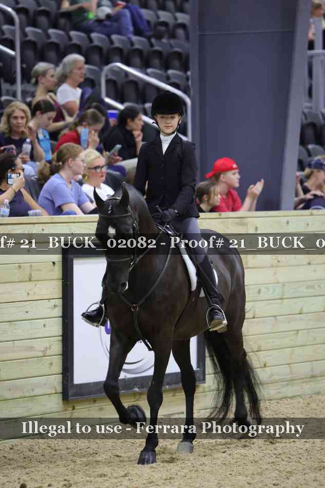 Proof 21_BUCK_02082
