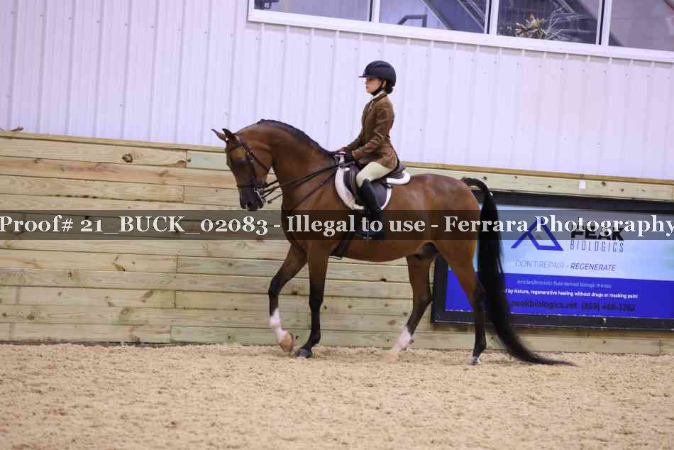 Proof 21_BUCK_02083