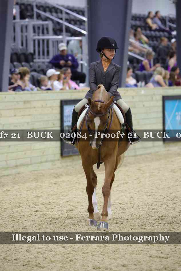 Proof 21_BUCK_02084